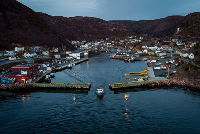 Petty Harbour D1