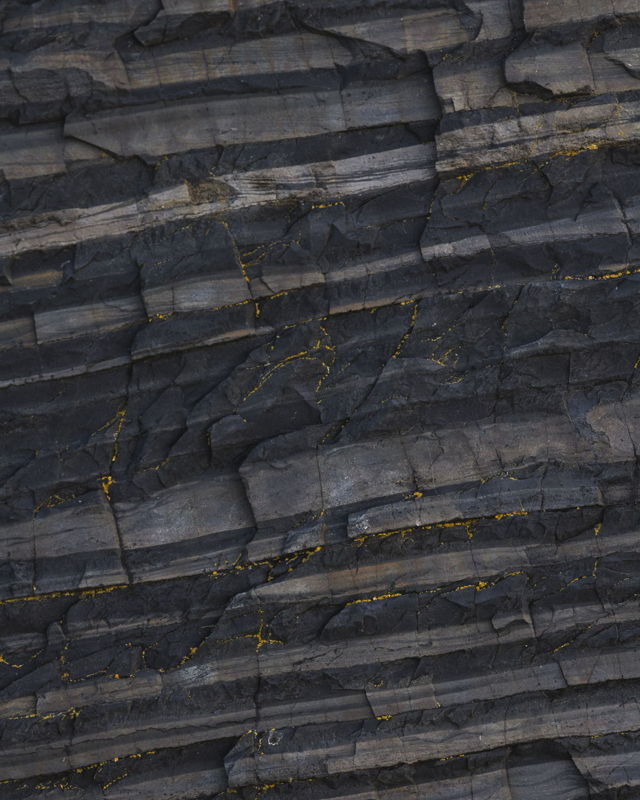 Lichen and Layers