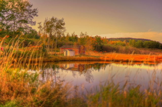 Autumn Reflection - Comfort Cove, NL