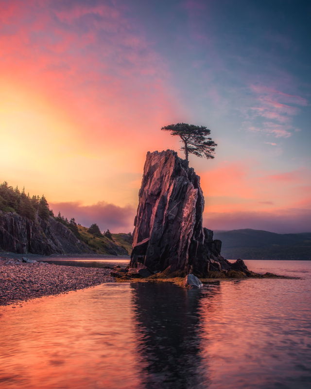Tree on a Sea Stack | Gord Follett | ARTfunnels