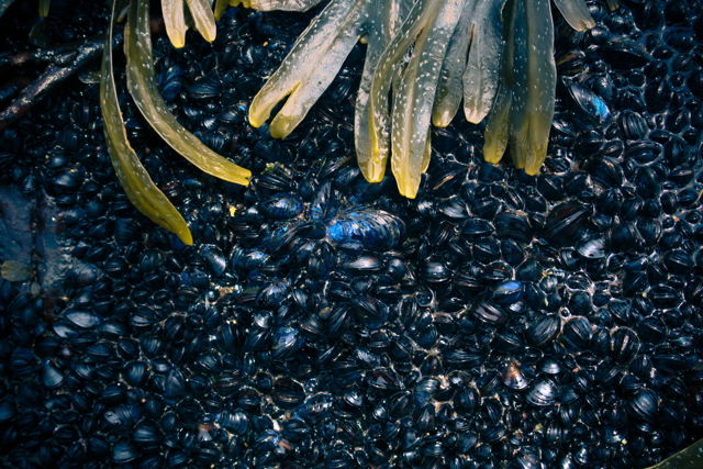 Baby Blues 2