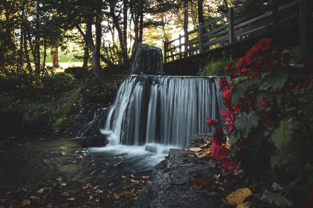 Bowring Park Falls 2
