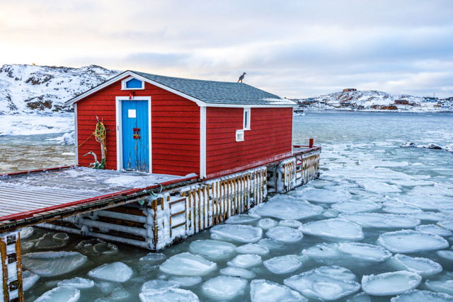 Cold day in the Harbour