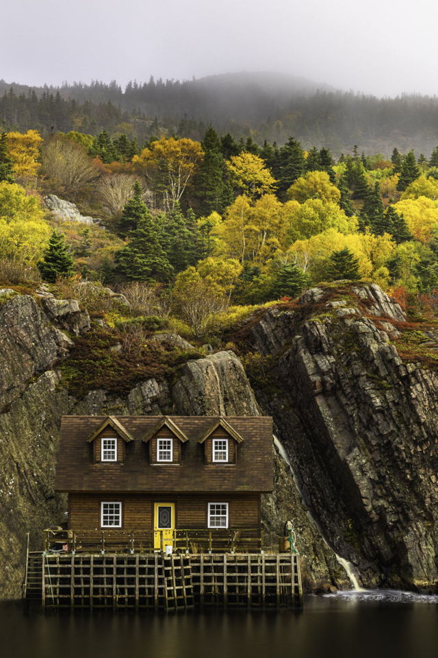 Quidi Vidi Colour