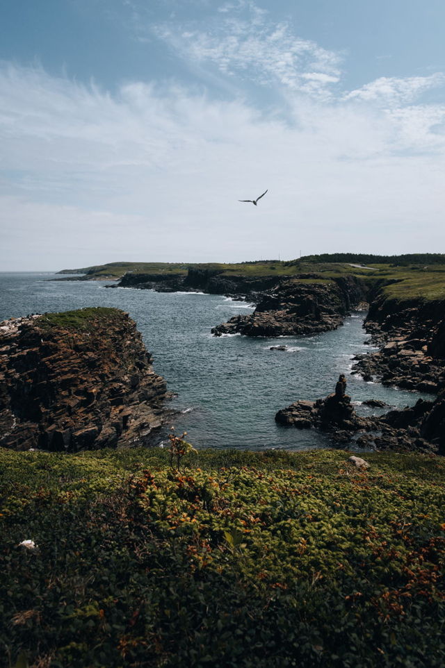 Elliston