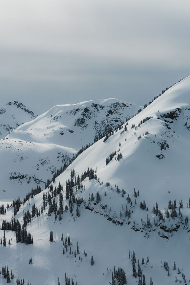 Heli Views