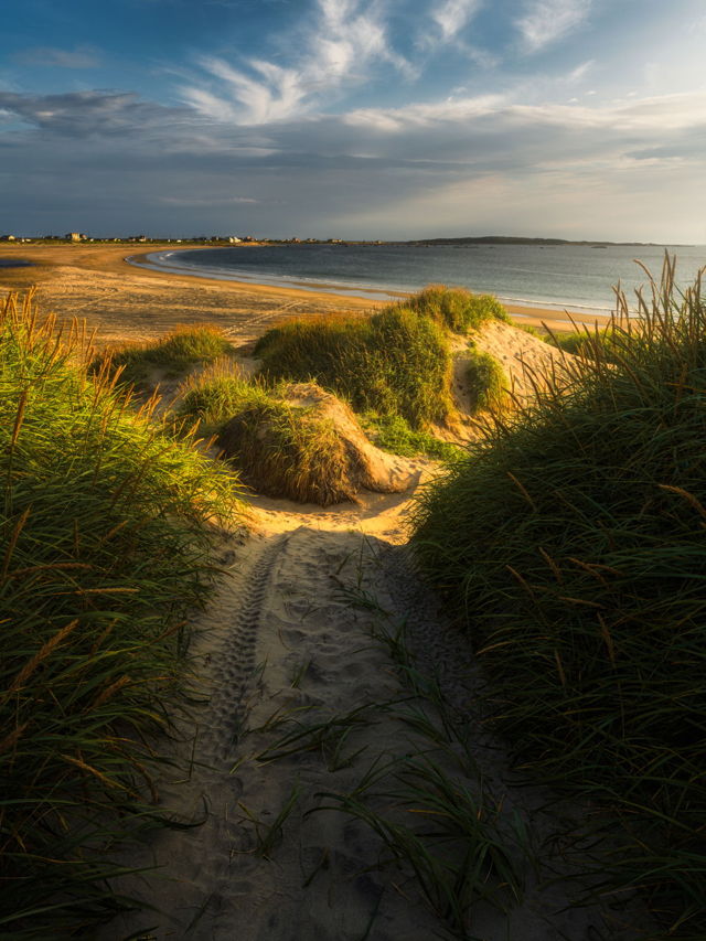 Lumsden Beach Dunes Newfoundland