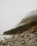 In The Fog