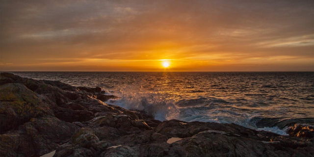 Golden Shores - Bauline