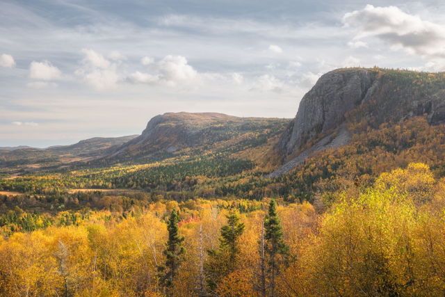 Swift Current Autumn Landscape
