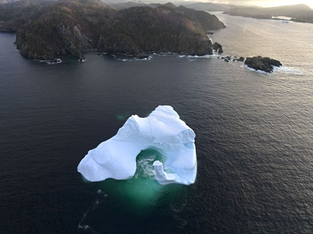 iceberg in Three arms Notre Dame Bay
