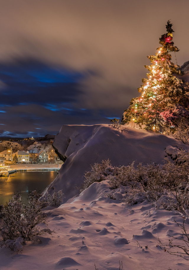 1a Quidi Vidi Wonderland v1