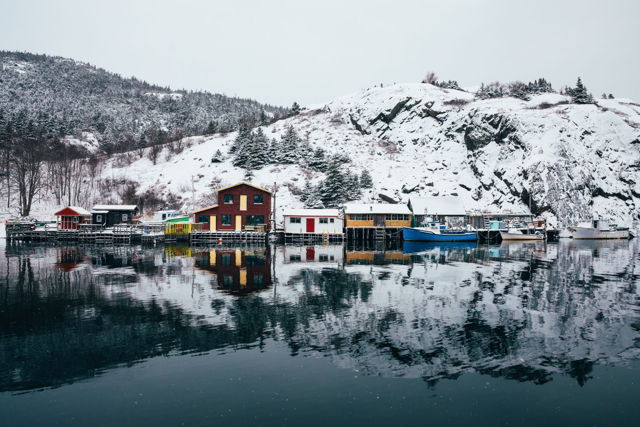 Quidi Vidi Winter Calm Landscape