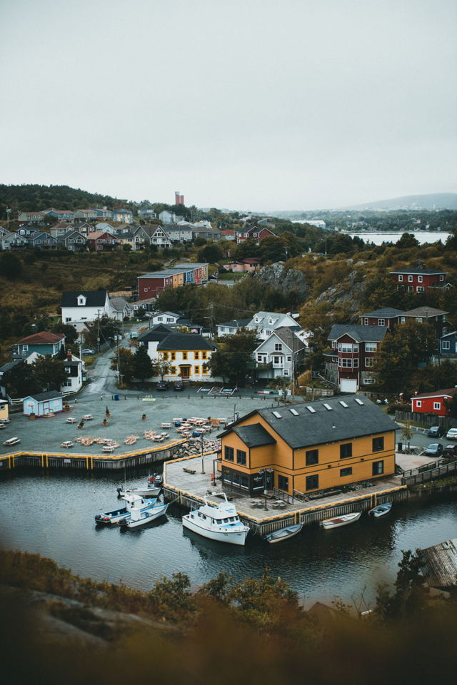 Quidi Vidi