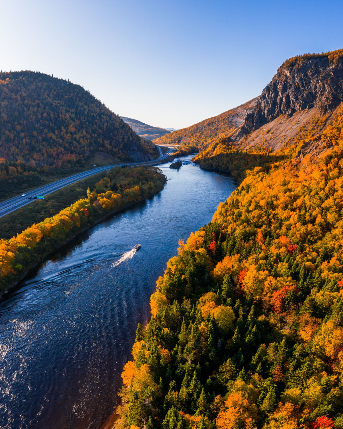 Peak Fall Colours in the Humber Valley | Tom Cochrane | MARKET