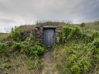 Root Cellar Too