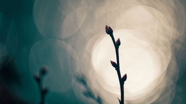 Breaking Through