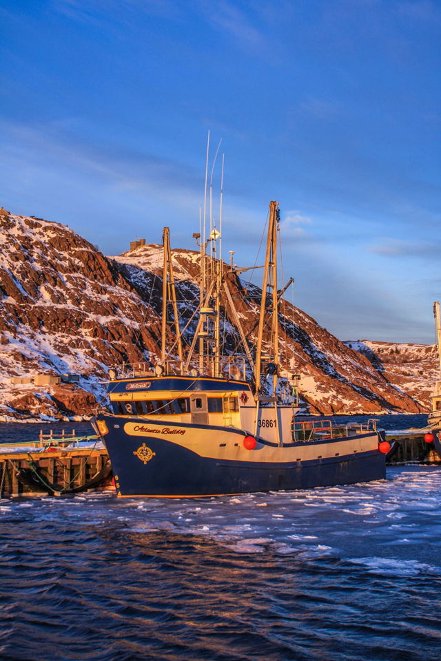Atlantic Bulldog