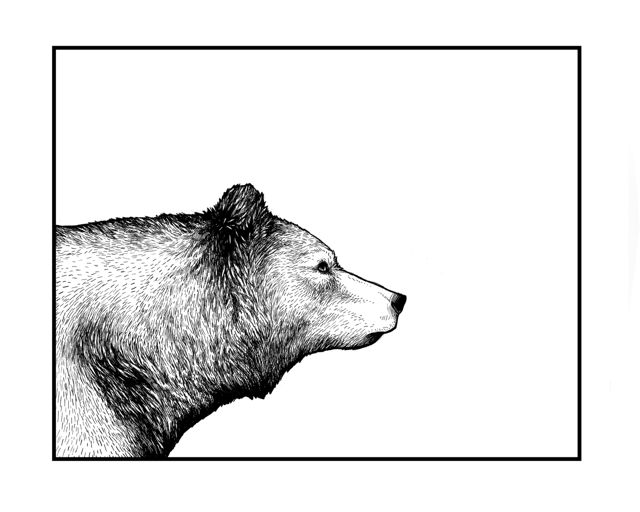 Bear King