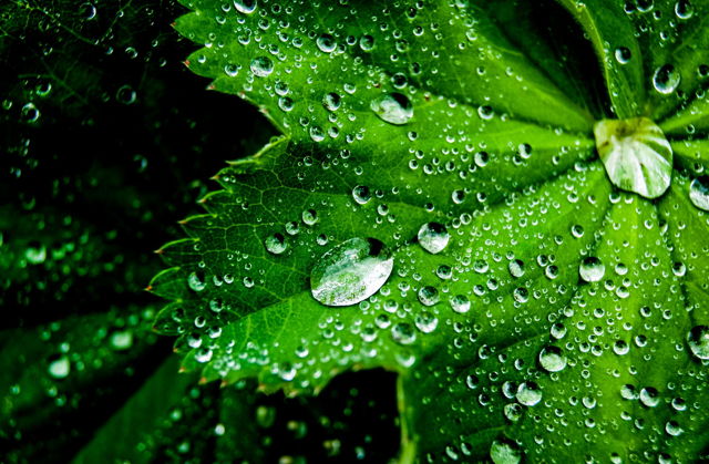 After the Rain