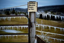 Cool Caution