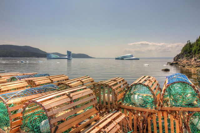 Lobster pots and icebergs - Seal Cove, NL