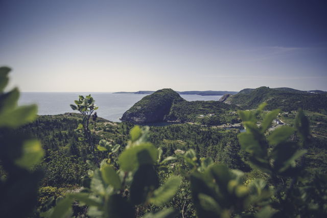 Quidi Vidi
