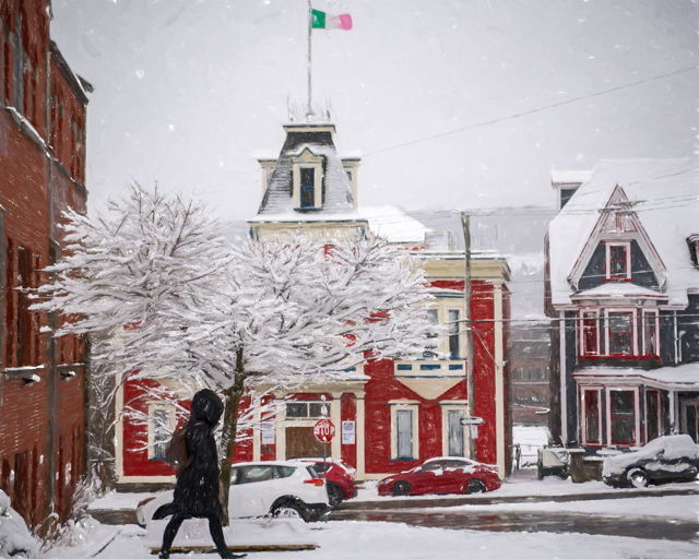 Winter Stroll