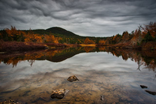 Autumn reflections.