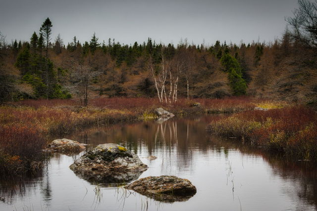 Awakening Boreal