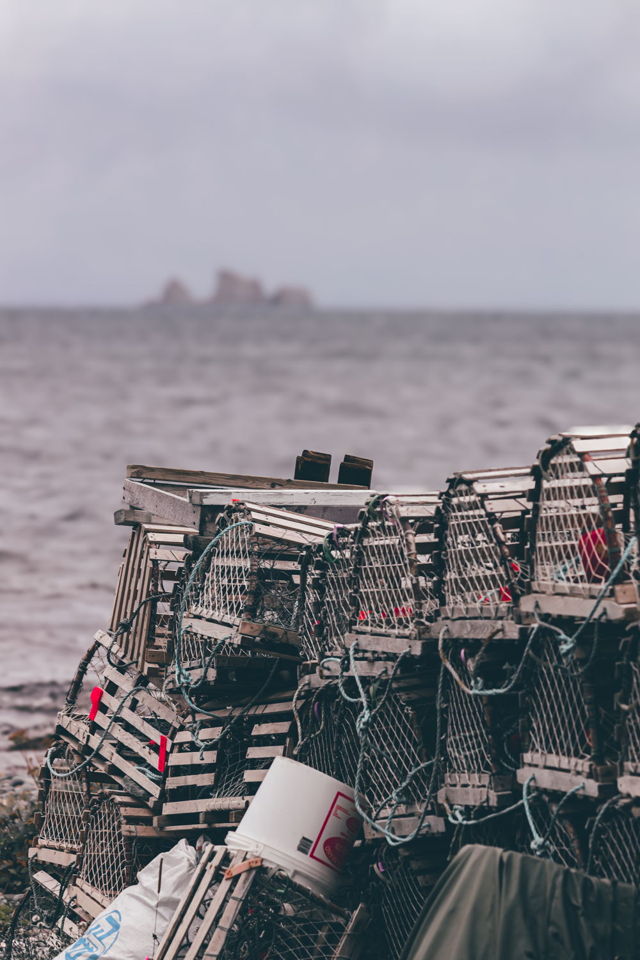 LOBSTER POTS IN WHITEWAY