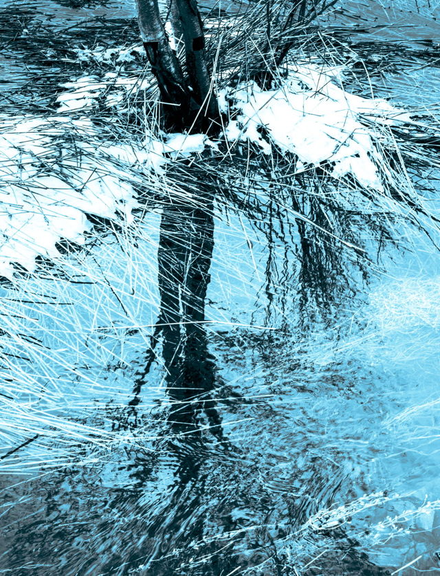 Winter Blue
