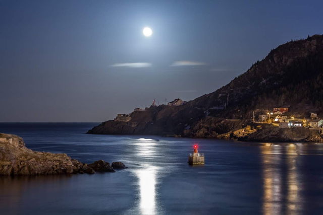 Harbour Moonlight