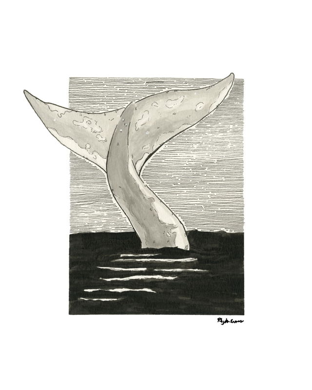 Fluke