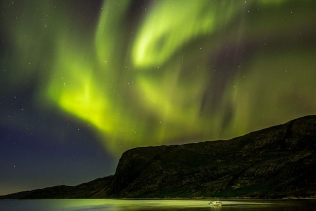 Aurora Of The North - Labrador