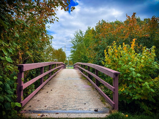 crossing into fall