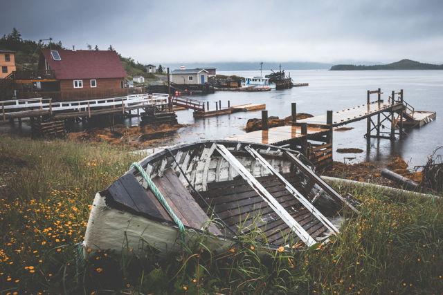 Grey Foggy Day