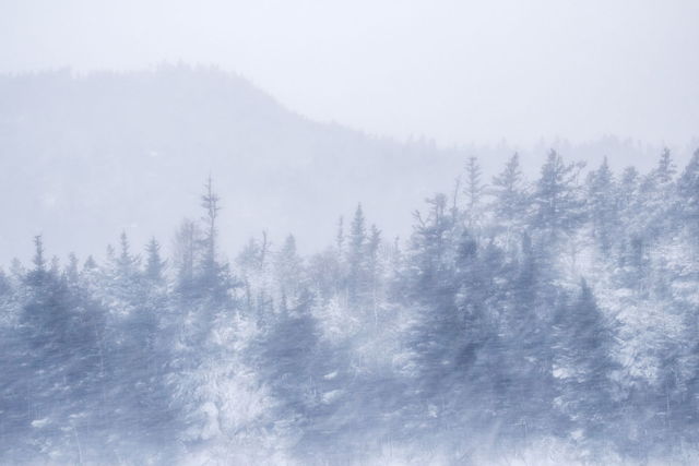 Bay Roberts Winter Storm