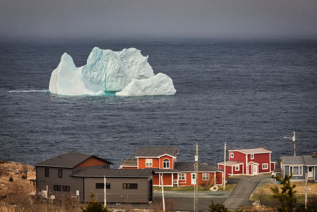 Iceberg at Pouch Cove