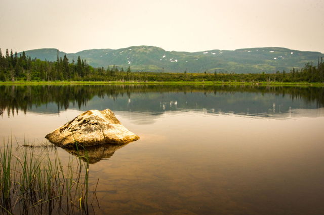 Pond along the Gros Morne highway