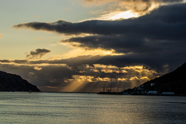 SunRays