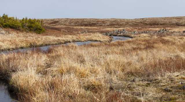 Trouting Spot Near Trepassey