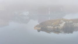 Newtown - Through the Fog