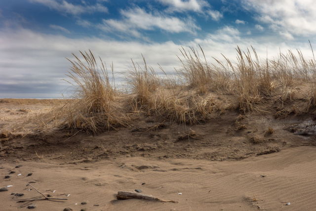 Bouctouche Dunes No. 3