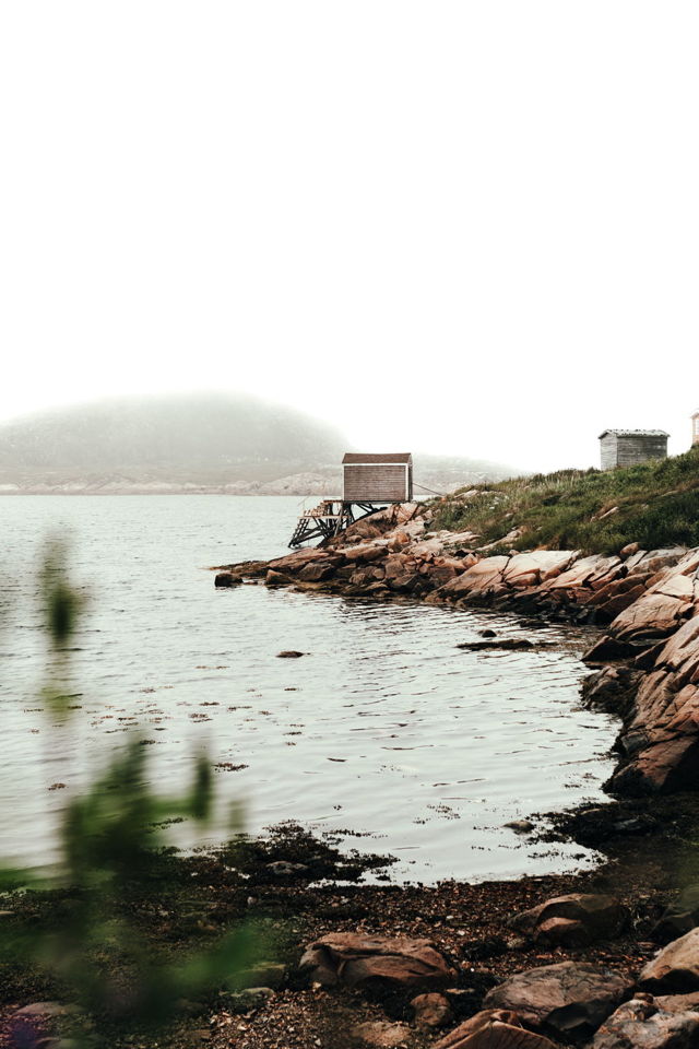 Foggy Morning in Fogo