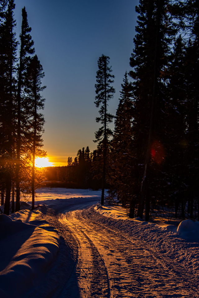 Golden Hour Trails
