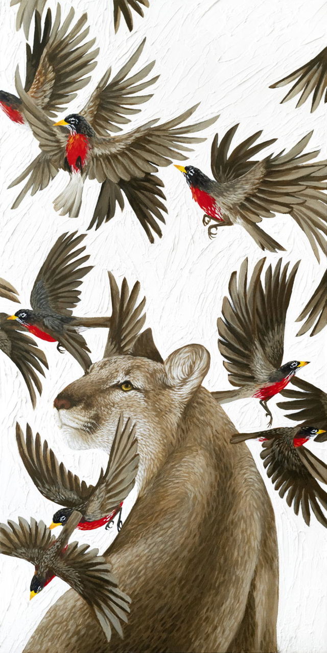 Feathers and Fur II