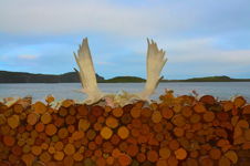Woodpile and Moose Antlers, Trinity, NL