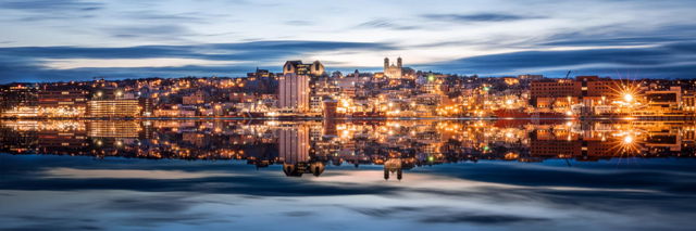 Fogtown Reflections