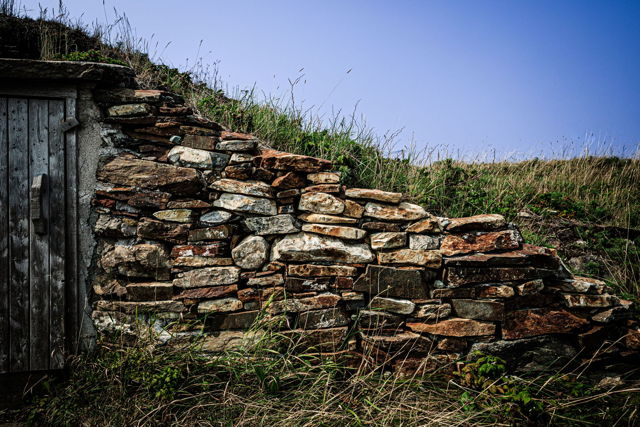 Root Cellar